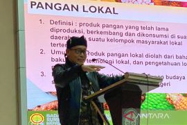 Jaga ketahanan pangan, Polbangtan Kementan dukung diversifikasi pangan lokal
