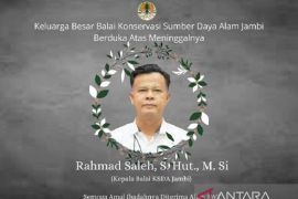 Kepala BKSDA Provinsi  Jambi meninggal dunia