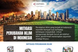 Mitigasi perubahan iklim di Indonesia