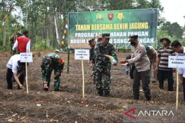 Dandim 1002/HST serahkan benih jagung dukung ketahanan pangan