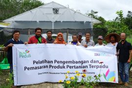 PLN latih Komunitas Petani Milenial Sintang dukung taraf perekonomian