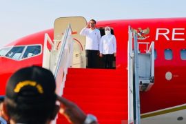 Presiden Jokowi akan tinjau pengembangan kelapa genjah di Jawa Tengah