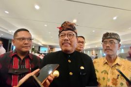 Wagub: Bali perlu harga tiket penerbangan yang lebih wajar