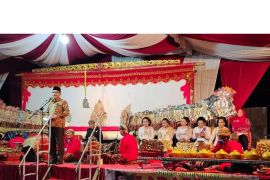 Mesuji gelar wayang kulit di Desa Mekar Sari