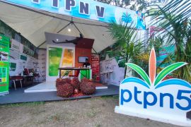 PTPN V Semarakkan Festival Rakyat Bagholek Godang