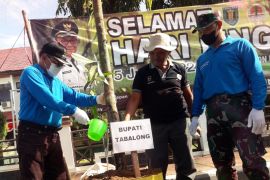 Bupati-Forkopimda Tabalong lakukan penanaman pohon