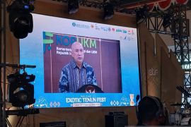 Menkop Teten dorong pemulihan UMKM NTT lewat Exotic Tenun Fest