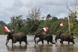 Pengibaran Bendera Merah Putih Bersma Gajah Sumatera