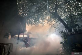 Tangani  puluhan kasus DBD, anak-anak paling banyak terserang