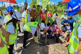 WIKA bersama WIKA Realty lakukan penghijauan di Manado