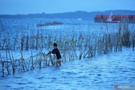 BMKG: Waspadai pasang air laut semasa gerhana bulan total