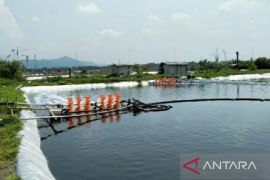 Dinas Perikanan Karawang siapkan lahan tambak air payau budidaya nila dan udang