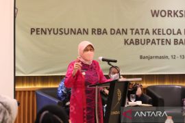 Bupati apresiasi RSUD H Abdul Aziz Marabahan menggelar Workshop RBA dan tata kelola.