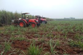 ID Food aktifkan pabrik gula di Kabupaten Subang Jabar