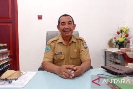 DPKP Manokwari tidak rekomendasikan perdagangan daging sapi ke luar