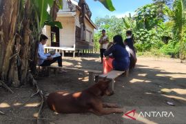 Pendidikan di Meratus masih belum 'merdeka'