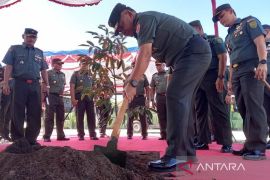 Kasad tanam durian cumasi khas Bangka di Makorem 045