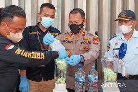 Ribuan pil ekstasi dimusnahkan, seorang kurir di Meranti terancam hukuman mati
