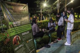 Pelajar Sosialisasikan Pelestarian Orangutan