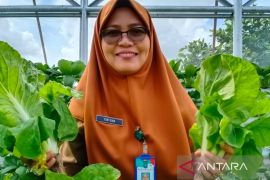 Transaksi perdagangan pasar tani Bangka Setara capai belasan juta