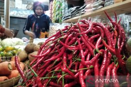 Harga komoditas di Jateng, harga cabai di Kudus turun lagi