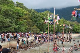 Warga padati Pulau Datuk untuk berebut panjat 45 batang pinang