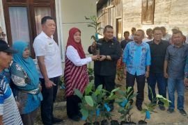 Bupati Dolly bagikan ribuan bibit manggis ke masyarakat Tapsel