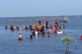 Penggiat lingkungan tanam 2.000 mangrove di Makassar