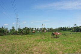 Sumsel wujudkan produksi 2,9 juta ton GKG