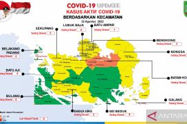 Enam kecamatan di Batam berada di zona kuning COVID-19