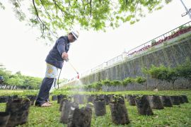 BI dan BMPD Jabar salurkan puluhan ribu bibit cabai dan bawang merah ke warga