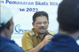 Dinas Perikanan Karawang imbau pengolah perikanan hindari formalin