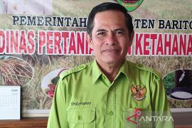 Distan Bartim prediksi hasil panen Padi Siam Busu mencapai 11.340 ton
