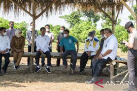 Sukodono Retention Basin Gresik to support food estates: minister