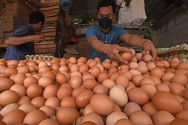 Harga telur ayam di Pasar Kramat Jati tembus Rp31 ribu