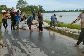 Pesisir Aceh Tamiang dilanda banjir kiriman, warga gotong royong bangun tanggul darurat