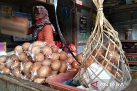 Di Kudus, harga telur capai Rp31.000 per kilogram