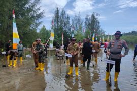 Sebanyak 3.290 bibit manggrove ditanam di pesisir Pantai Aceh Jaya