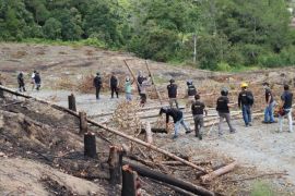 PT TPL prihatinkan aksi kekerasan di konsesi HTI Aek Nauli