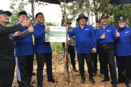BP Batam tanam 12.000 bibit pohon jati emas