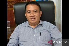 Ketua DPRD minta Pertamina salurkan BBM kepada warga pulau