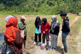 Mahasiswa KKN Unand lakukan penyuluhan soal pupuk dan pakan alternatif di Pasaman