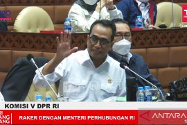 Ministry strives to stabilize flight tickets price