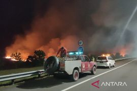 Api membakar lahan mineral di sekitar jalan tol Palembang-Indralaya KM13