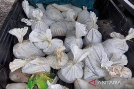 Dit Polairud Polda Babel tangkap tiga pelaku tambang ilegal di Kawasan Hutan Konservasi
