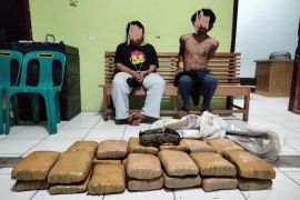 Terlibat kejar kejaran, polisi ringkus tersangka pembawa ganja
