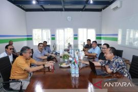 Pj Gubernur apresiasi PT BAA manfaatkan lahan eks tambang ditanami pohon rumbia