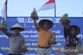 BI bersama Pemkab Bangka Tengah tanam bawang dan cabai guna tekan inflasi