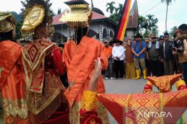 Perputaran uang "Alek" Buru Babi di Sumbar capai Rp500 juta