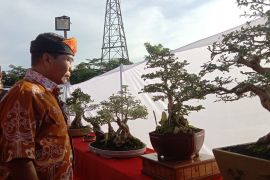 Kukuhkan komunitas Bonsai Tarakan, Gubernur dorong tingkatkan karya dan inovasi